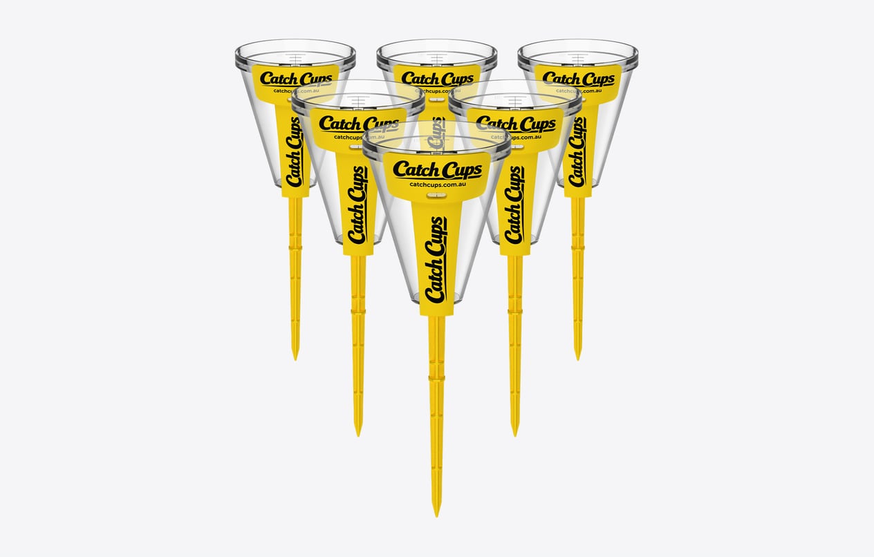6 Catch Cups on their yellow spikes, standing in a triangle of three rows on a light grey studio ground.